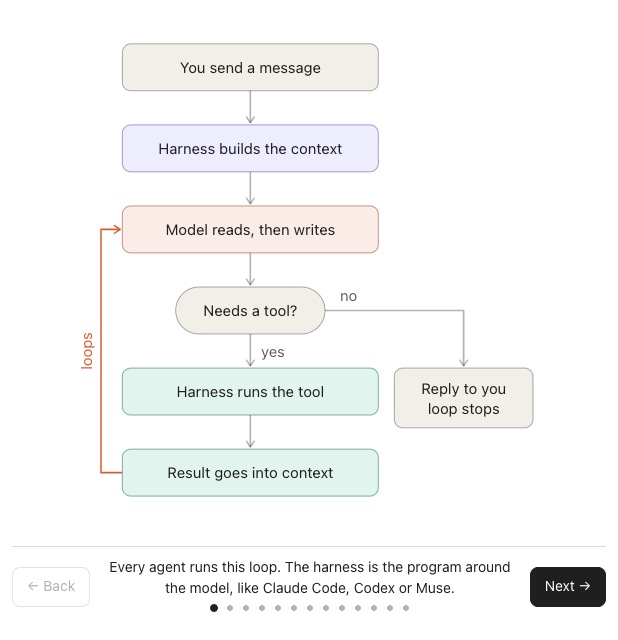 The loop every agent runs: you send a message, the harness builds the context, the model reads then writes, and if it needs a tool the harness runs it and the result goes back into the context